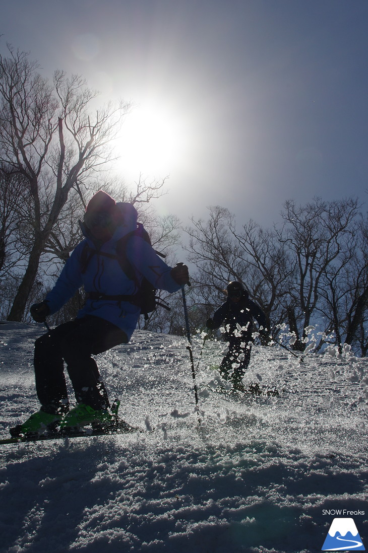 DYNASTAR SKI series Test Ride Days 2017 in ニセコユナイテッド【Day.2】～ニセコグラン・ヒラフ～